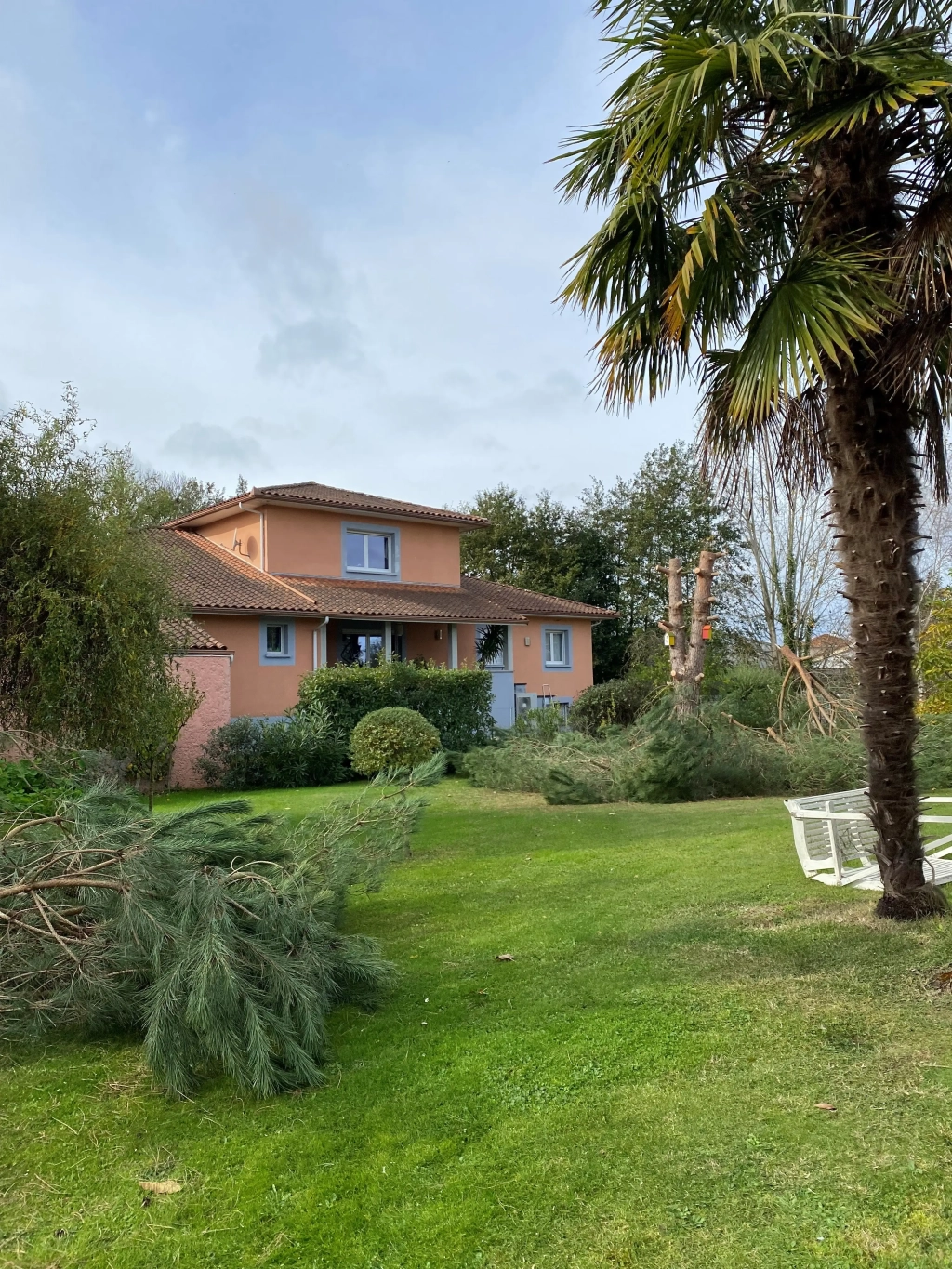 Elagage et abattage à Orleix, à proximité de Tarbes