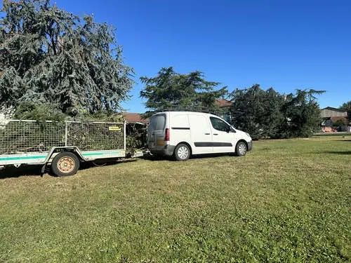 Élagage de conifère à Aureilhan