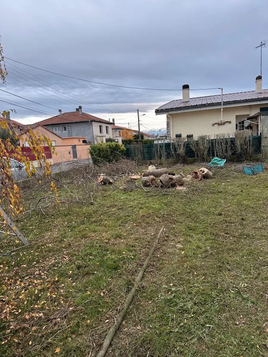 Intervention, élagage abattage d'arbres à Tarbes