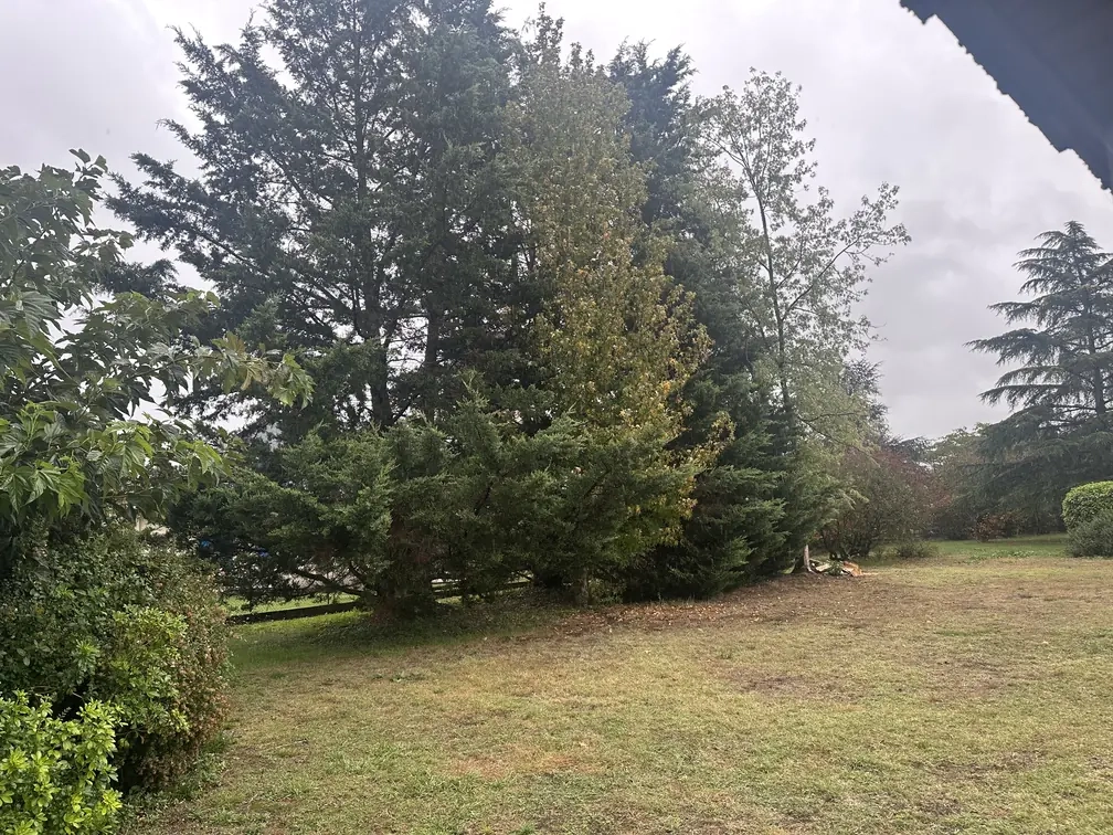 Intervention élagage avec nacelle à Vic-en-Bigorre