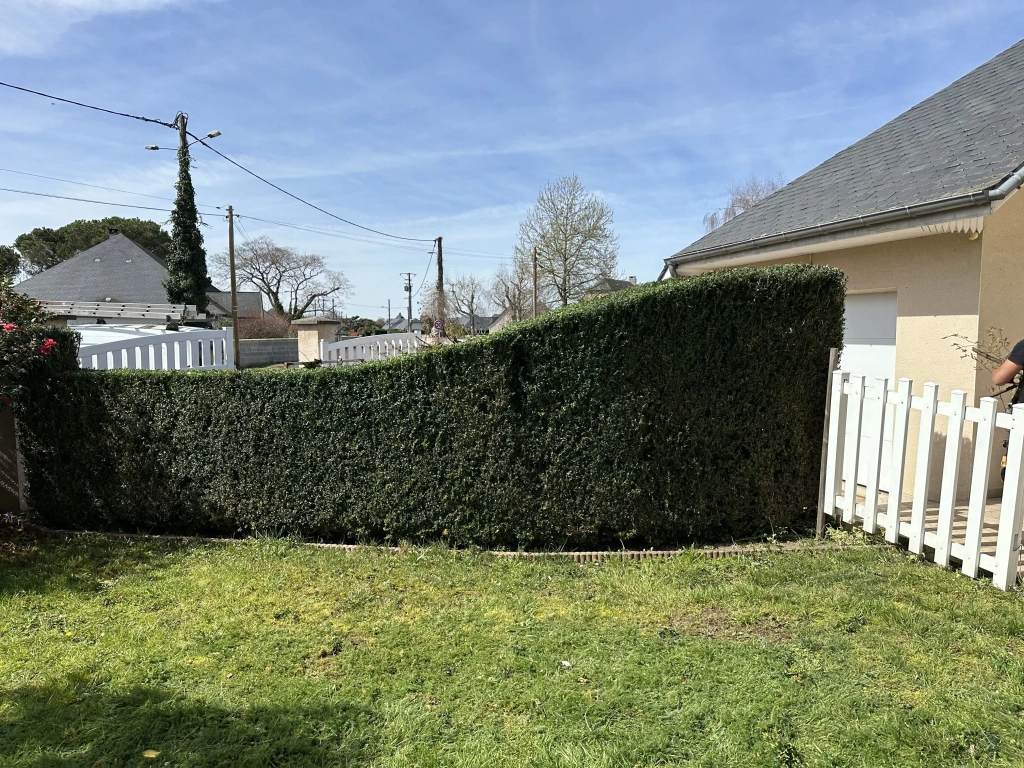 Taille de haies à proximité de Tarbes