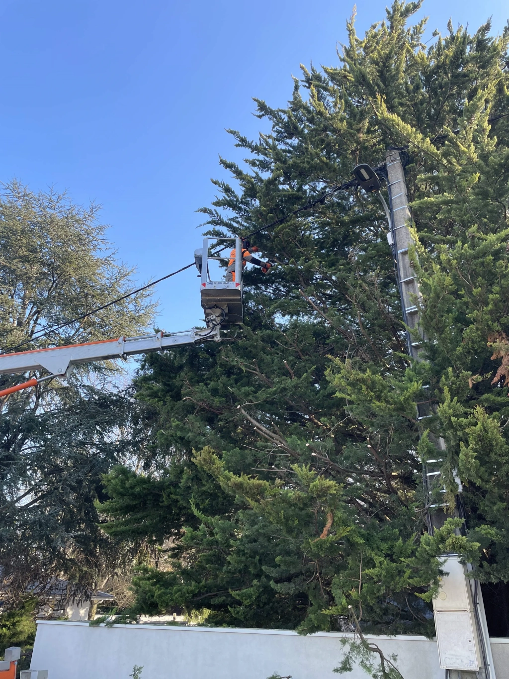 Élagage avec une nacelle