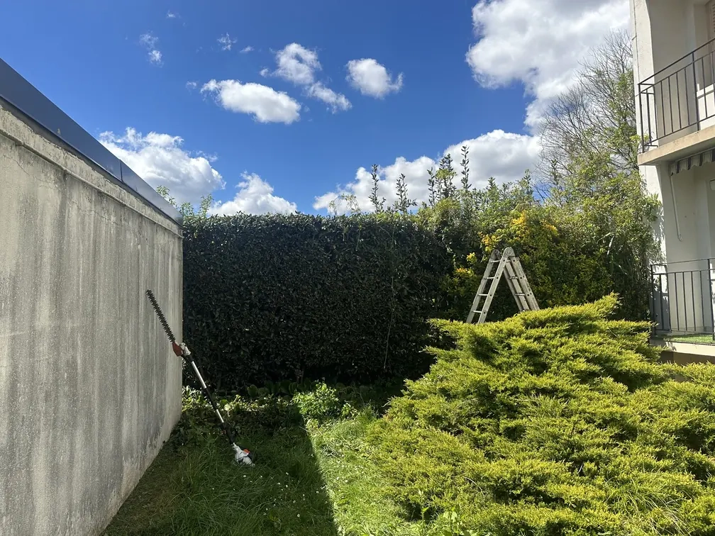 Entretien de jardin à Tarbes