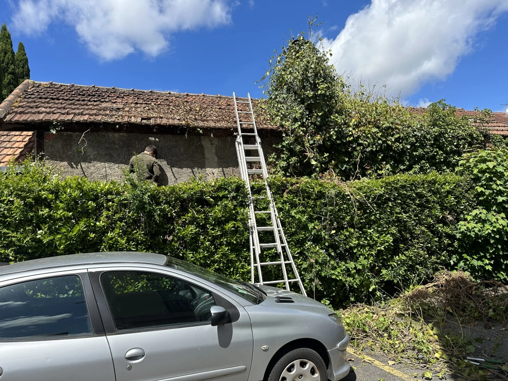 Intervention pour agence Laforêt Tarbes