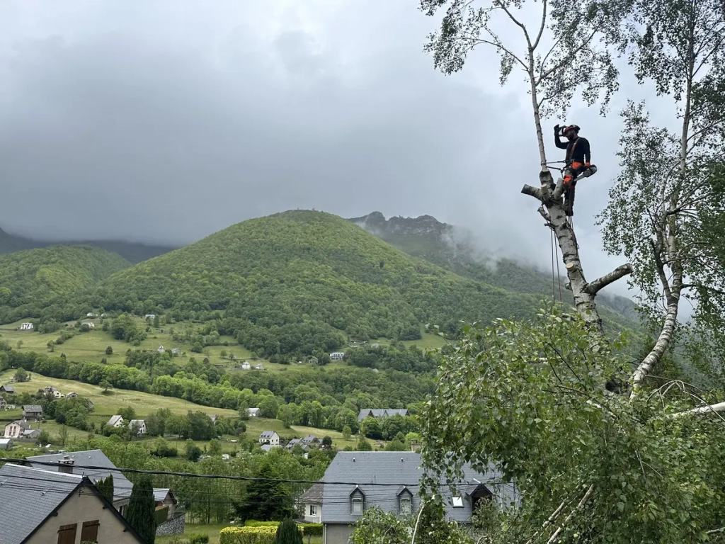  Intervention, élagage et entretien de jardin à Cauterets dans les Hautes-Pyrénées