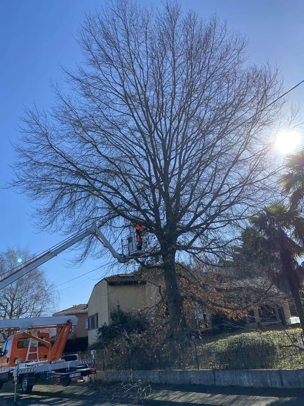 Intervention d'élagage à Orleix à proximité de Tarbes dans les Hautes-Pyrénées