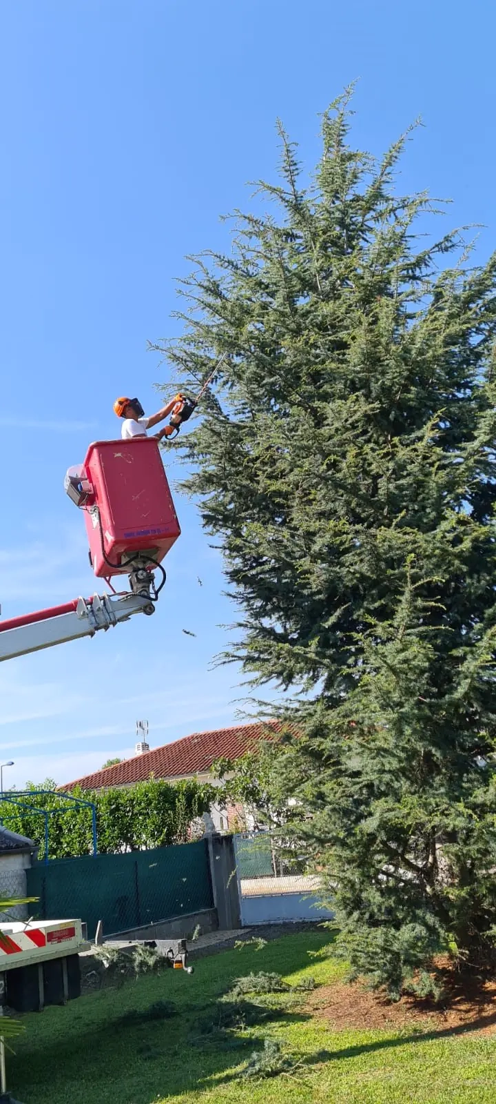 Intervention avec nacelle à Aureilhan à proximité de Tarbes