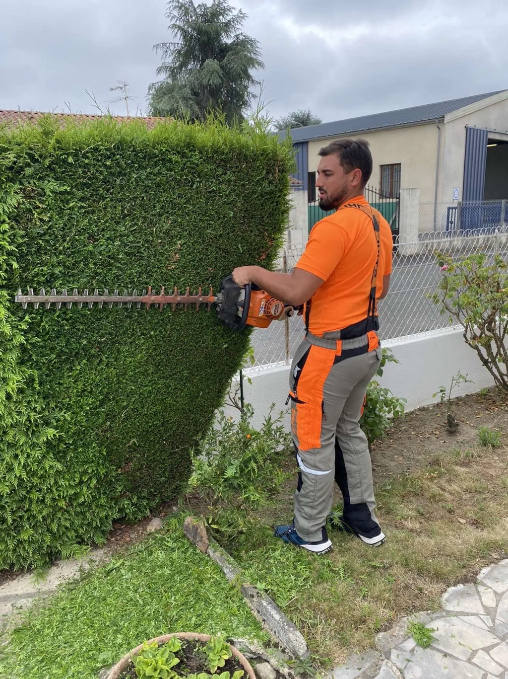 Taille de haie à Tarbes