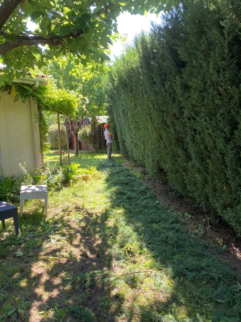 Abattage d’un arbre à Odos dans le département 65 Hautes-Pyrénées