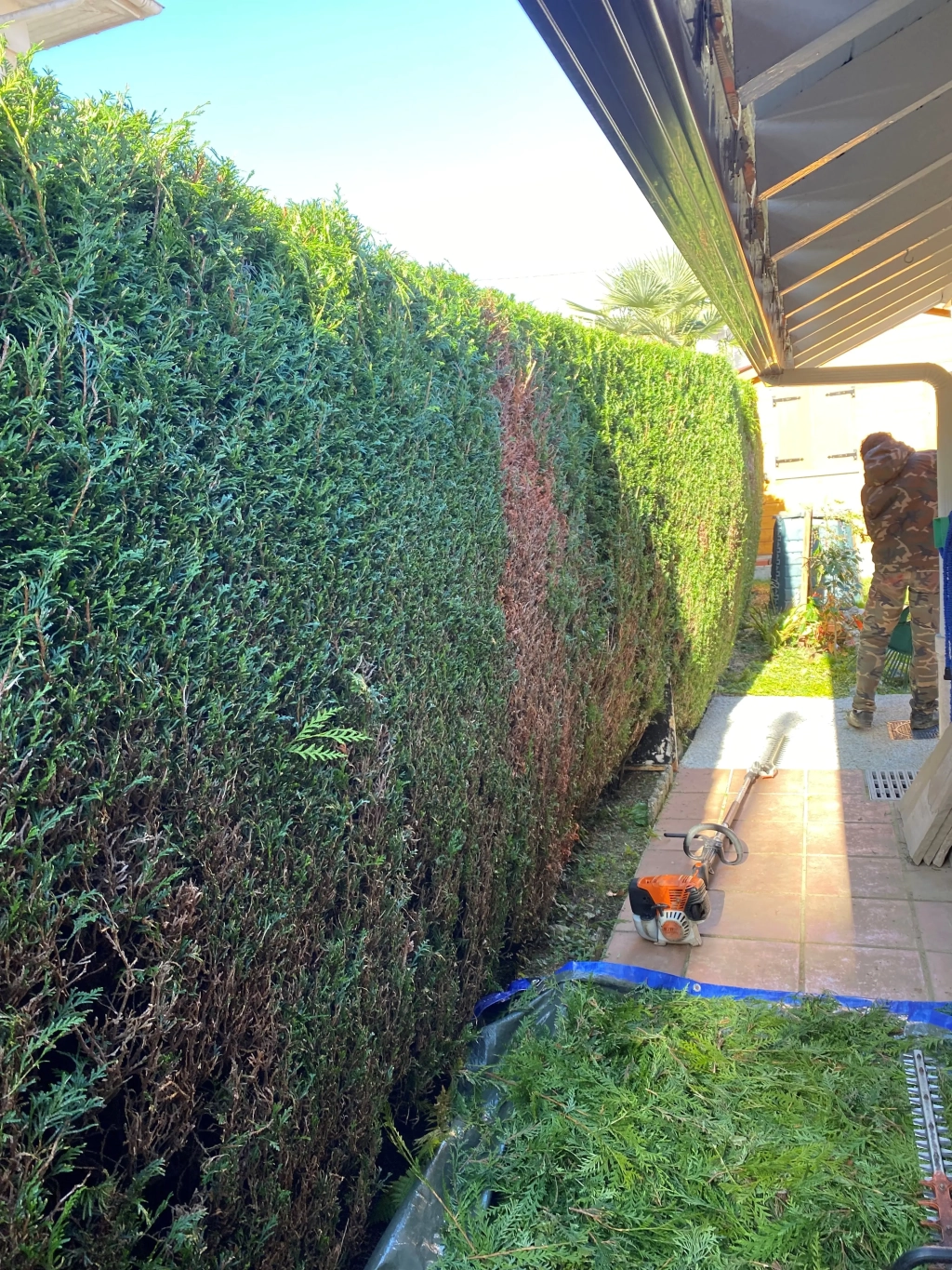 Entretien parcs, jardins et taille de haies dans la commune de Pau