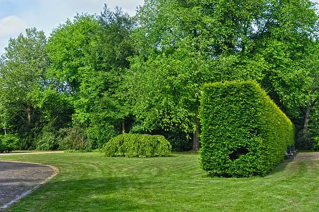 Entreprise d'entretien de haies en Hautes-Pyrenees